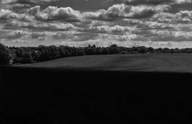 Ağaçlarla kaplı güzel bir manzara.