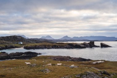 Norveç 'in güzel manzarası