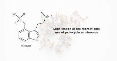 Psilosibin mantarlarının eğlence amaçlı kullanımının yasallaştırılması, psilosibin ve insan vücudu üzerindeki etkisi