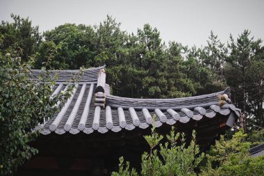 Güney Kore, Busan 'daki Budist Tapınağı Haeun-jeungsa' nın çatıları.