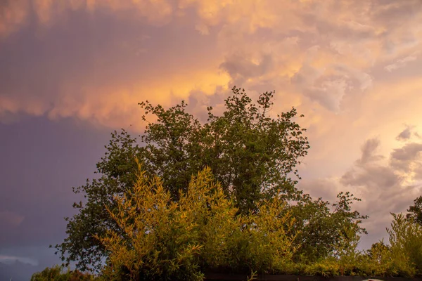 Барвисте Хмарне Небо Тінями Дерев Під Час Заходу Сонця — стокове фото