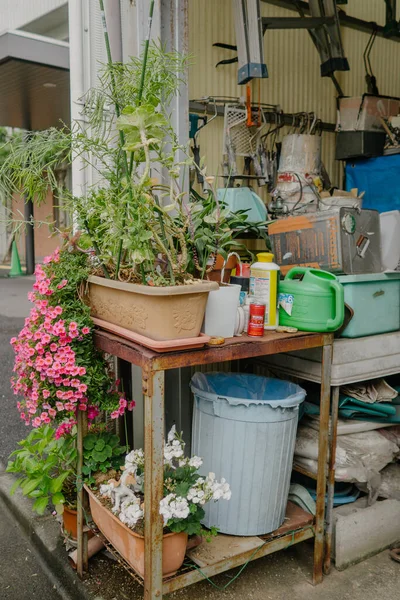 Casa Madeira Velha Com Flores — Fotografia de Stock