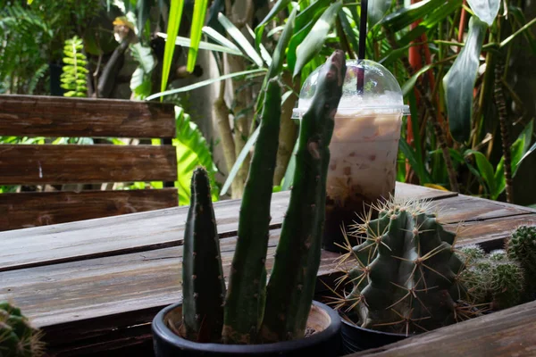 Minuman Kopi Dingin Kebun Resor Foto Stok — Stok Foto