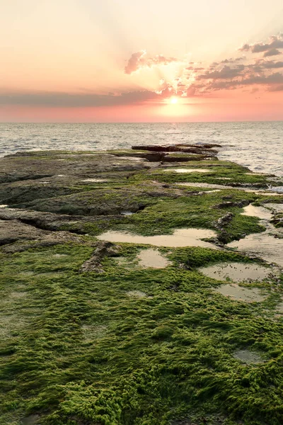 Lever Soleil Cabo Cervera Torrevieja Province Alicante Espagne Plan Vertical — Photo