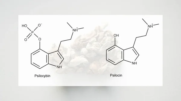 Die Medizinischen Auswirkungen Von Psilocybin Und Psilocin Auf Die Psychische — Stockfoto