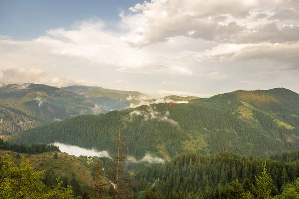 Colinas Verdes Torno Barragem Vacha Montanhas Rhodope Região Plovdiv Bulgária — Fotografia de Stock