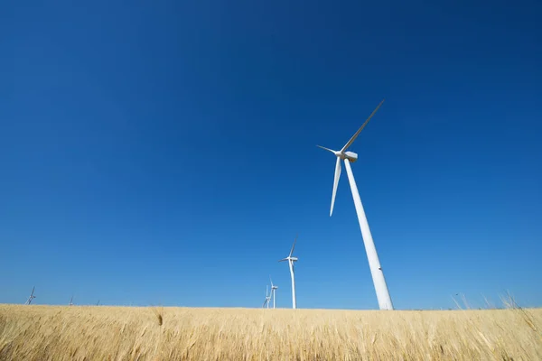 Molinos Viento Para Producción Energía Eléctrica Provincia Zaragoza Aragón España — Foto de Stock