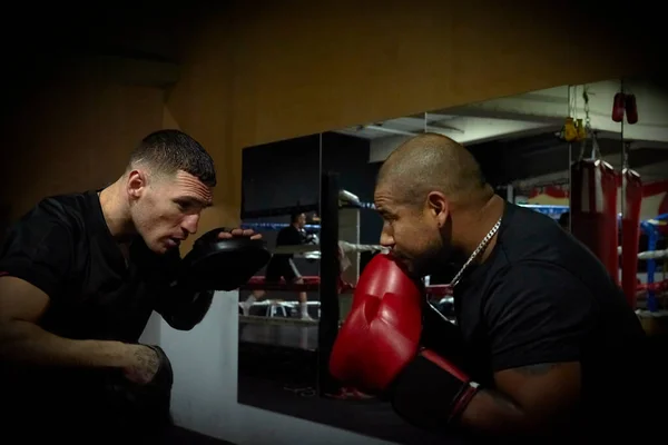 Determined Male Boxers Practicing Health Club — Stock Photo, Image