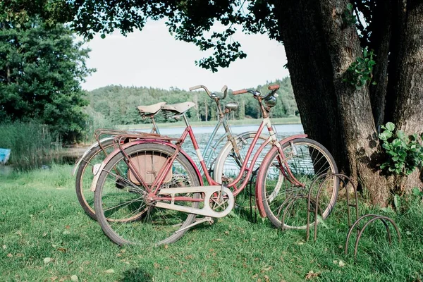 公園内の古い自転車は — ストック写真