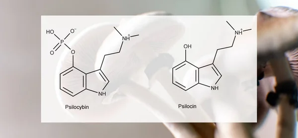 Medische Effecten Van Psilocybine Psilocine Psychologische Fysieke Gezondheid Van Mensen — Stockfoto