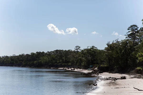 Uma Bela Vista Rio Selva — Fotografia de Stock