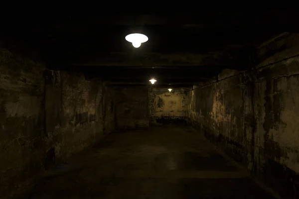 2018年8月22日 旧ドイツ ナチス強制収容所ガス室アウシュビッツ ビルケナウ強制収容所 — ストック写真