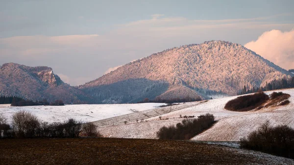Αγροτικό Χειμερινό Τοπίο Της Περιοχής Turiec Σλοβακία — Φωτογραφία Αρχείου