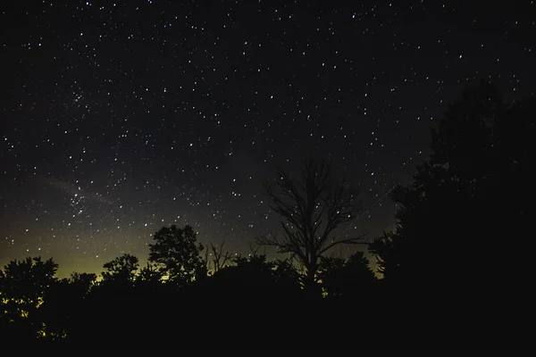 Céu Noturno Com Estrelas Forma Leitosa — Fotografia de Stock