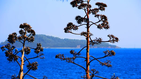 Güzel Deniz Manzarası Göl — Stok fotoğraf