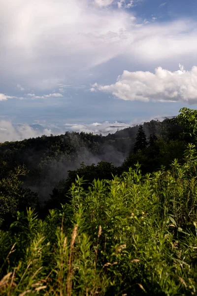 Surplombant Parc National Great Smoky — Photo