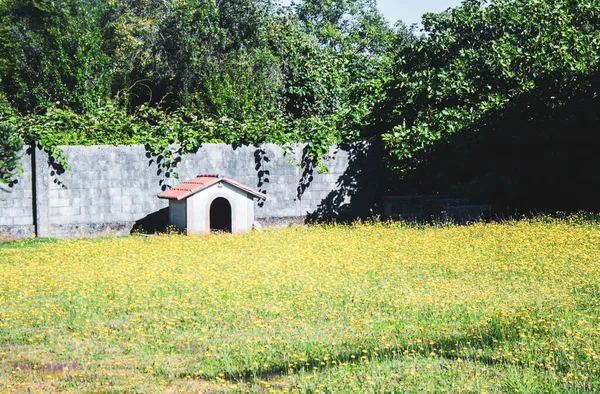 Όμορφη Θέα Της Φύσης Σκηνή — Φωτογραφία Αρχείου