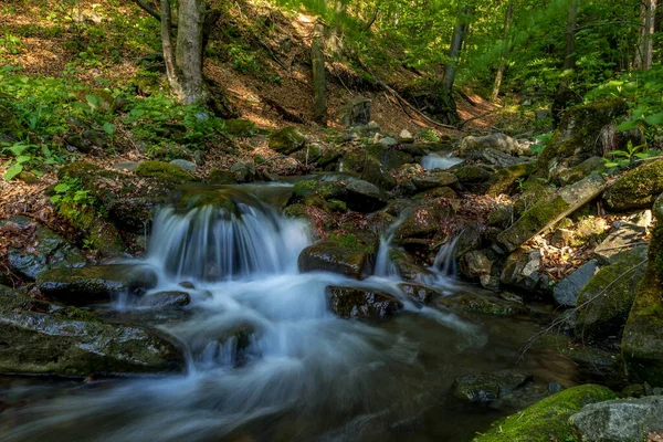 Córrego Montanha Que Flui Através Uma Paisagem Uma Floresta Densa — Fotografia de Stock