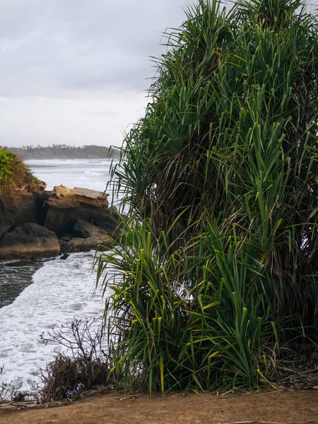 Hermosa Vista Del Mar Río —  Fotos de Stock