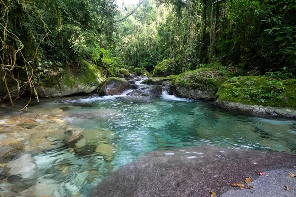 Belle Rivière Cristalline Avec Eau Bleue Sur Paysage Vert Forêt — Photo