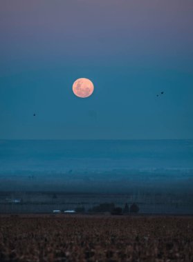 Denizin üzerinde güzel bir gün batımı