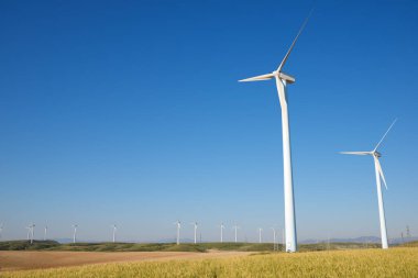 Elektrik üretimi için yel değirmenleri, Zaragoza Eyaleti, İspanya Aragon.