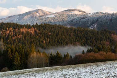 Slovakya 'nın Turiec bölgesindeki Velka Fatra Milli Parkı