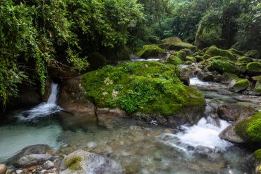 Güzel Atlantik yağmur ormanı nehri vahşi yeşil arazide akan su, Serrinha do Alambari, Serra da Mantiqueira, Rio de Janeiro, Brezilya