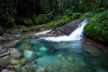 Vahşi yeşil arazi üzerinde mavi kristal berrak su havuzu olan güzel Atlantik yağmur ormanı nehri, Serrinha do Alambari, Serra da Mantiqueira, Rio de Janeiro, Brezilya