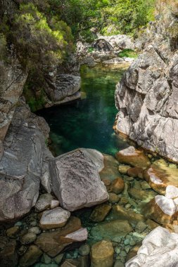 Portekiz, Peneda Geres Ulusal Parkı 'ndaki nehir üzerinde kristal berrak su ve yeşil havuz için güzel bir manzara