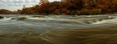 Ormandaki nehrin güzel manzarası doğanın arka planında