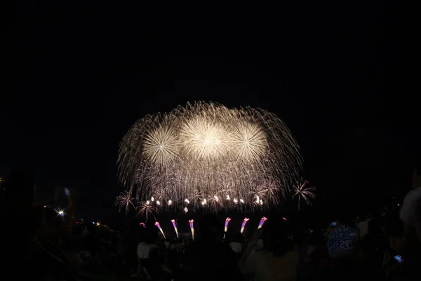 Fuegos Artificiales Cielo Nocturno — Foto de Stock