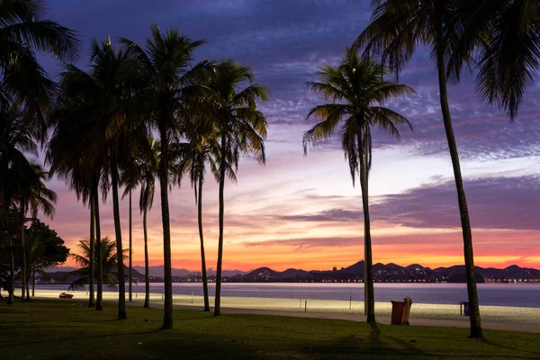 Beautiful view to the sun rising with colorful clouds and palm trees on city beach, Aterro do Flamengo, Rio de Janeiro, Brazil