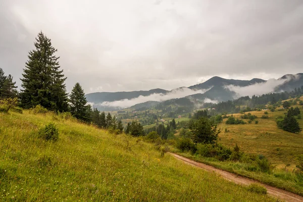 Green Hills Vacha Dam Rhodope Mountains Plovdiv Region Bulgaria — Stock Photo, Image