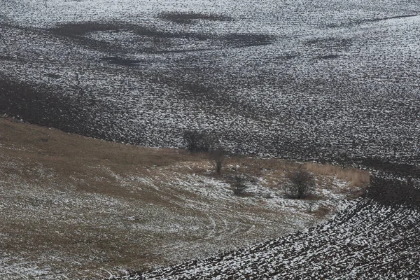 Kuzey Slovakya Daki Turiec Bölgesinin Kırsal Manzarasının Ayrıntıları — Stok fotoğraf