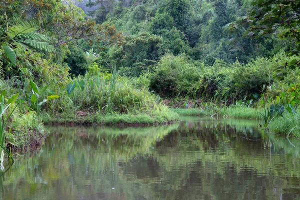 Båttur Vattnet Regnskogen Madagaskar — Stockfoto