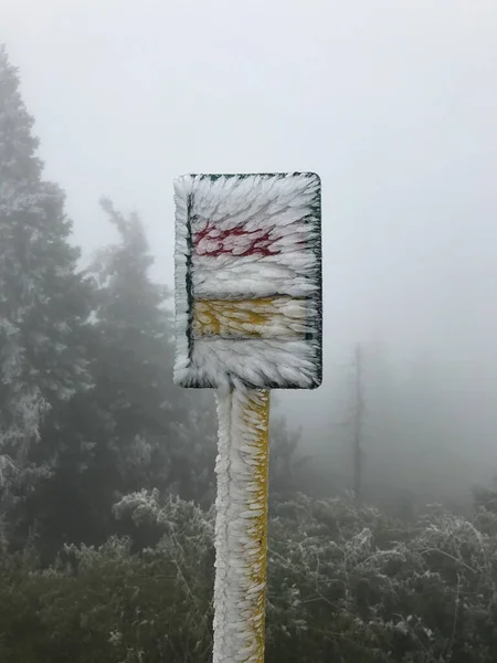 산책을 나무와 곳곳에 눈으로 표지판 하얀색의 색깔로 뒤덮여 — 스톡 사진