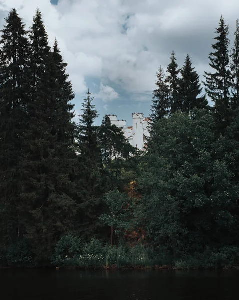 Prachtig Landschap Met Een Meer Het Bos — Stockfoto