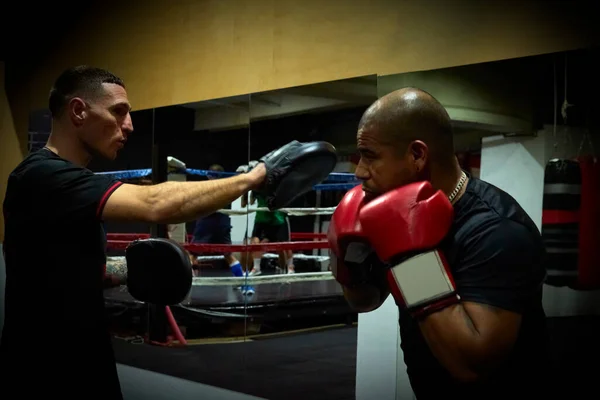 Determined Male Boxers Practicing Health Club — Stock Photo, Image