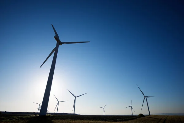 Molinos Viento Para Producción Energía Eléctrica Provincia Zaragoza Aragón España — Foto de Stock