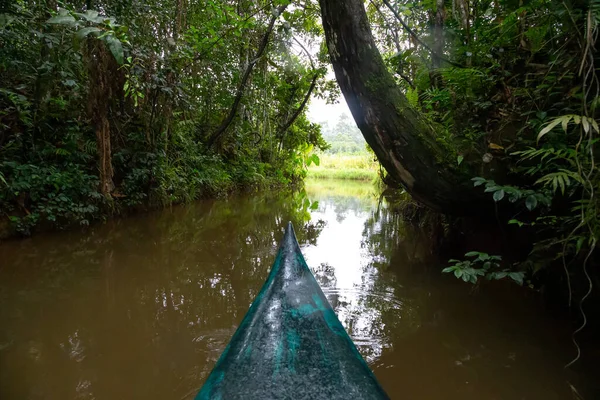 Paseo Barco Agua Selva Tropical Isla Jalá —  Fotos de Stock