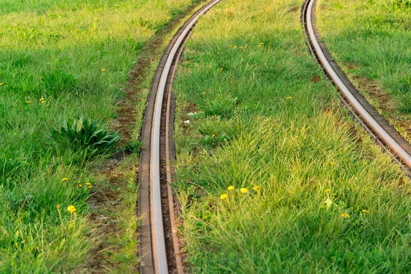 Train rails. Public transportation track covered by lawn. Modern electric vehicle path photography. Classic tram steel way.  Industrial urban transport infrastructure. Curve surface of tramway railway