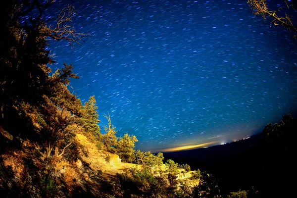 Céu Noturno Com Estrelas Pinheiros Fundo Natureza — Fotografia de Stock