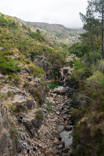 Hermosa Vista Río Bosques Verdes Parque Nacional Peneda Geres Portugal — Foto de Stock