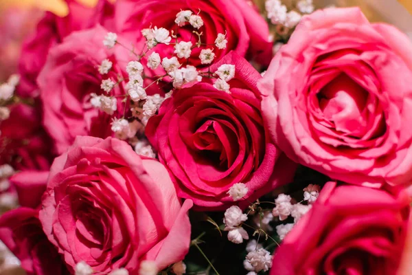 Hermosas Rosas Jarrón Sobre Fondo Blanco — Foto de Stock