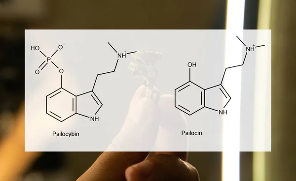 Die Medizinischen Auswirkungen Von Psilocybin Und Psilocin Auf Die Psychische — Stockfoto