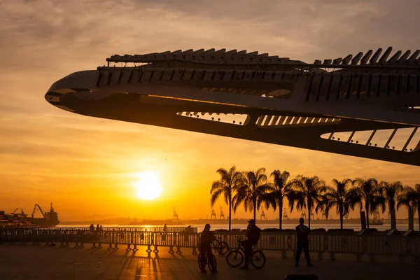 Bela Vista Pôr Sol Para Museu Arquitetura Moderna Rio Janeiro — Fotografia de Stock