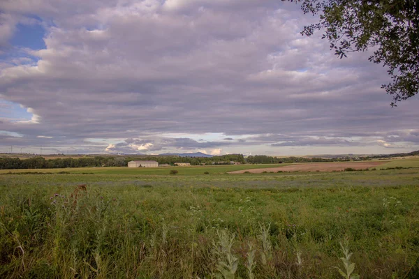 Vakkert Landskap Med Jorde Med Hvete Skyet Himmel – stockfoto