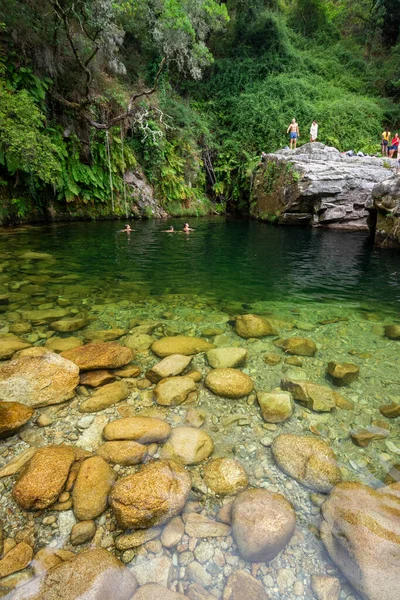 Schöne Aussicht Auf Grünen Flusspool Und Bäume Peneda Geres Nationalpark — Stockfoto