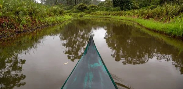Viaje Barco Por Río Través Selva —  Fotos de Stock